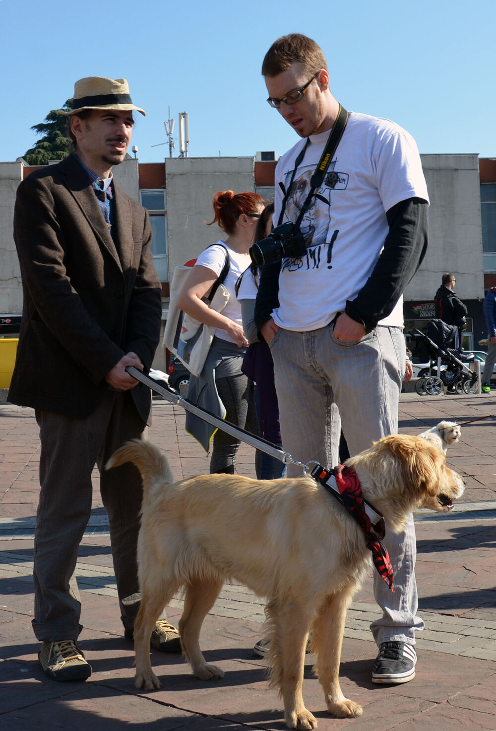 Akcija javnog udomljavanja