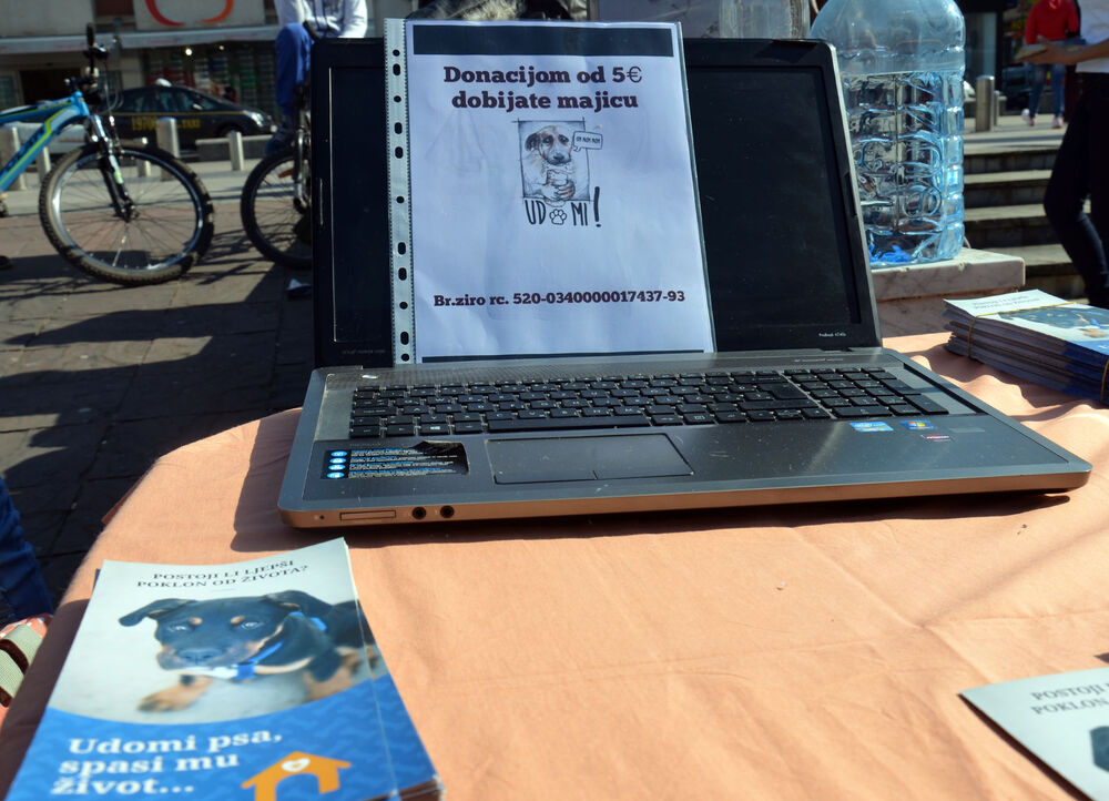 Akcija javnog udomljavanja