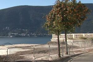 Na Prazniku mimoze i Mala fešta od narandže