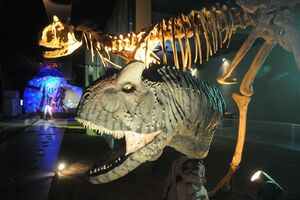 Izložba o dinosaurusima od 1. juna do 31. avgusta u Budvi
