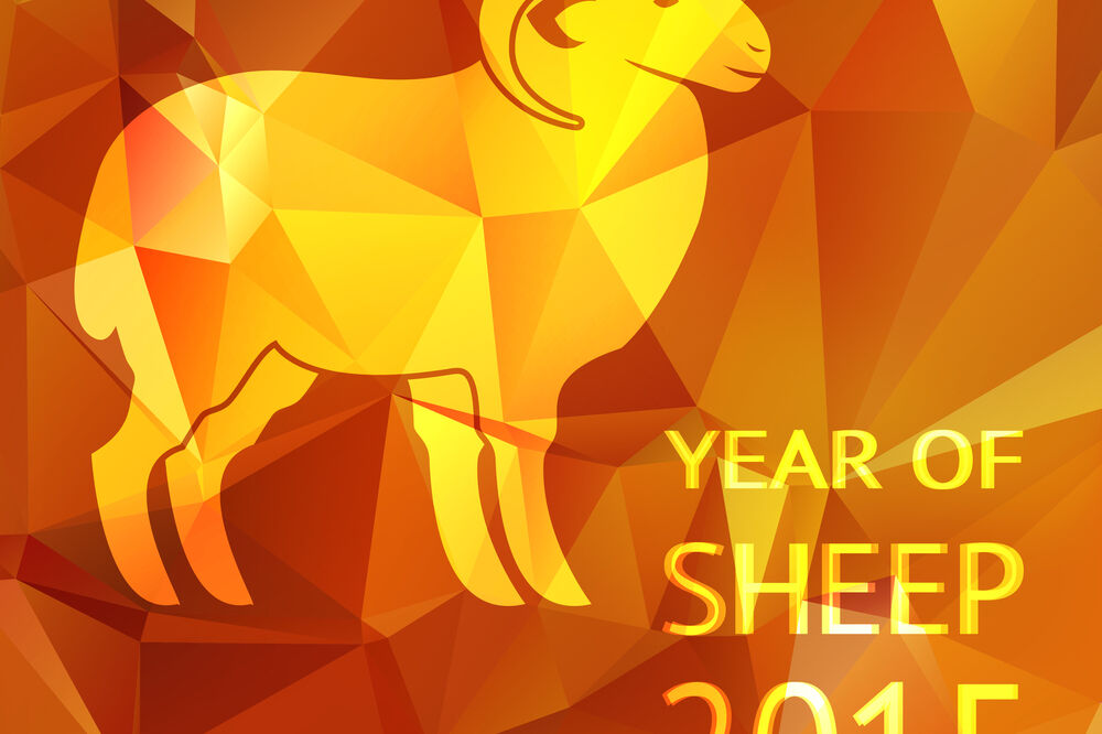 Godina ovce, Foto: Shutterstock