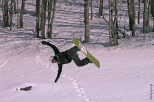 Crna Gora prvi put domaćin Snow Dance festivala