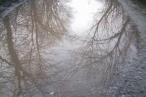 Pozitivna Danilovgrad: Asfaltirati i srediti prilaze prigradskim...