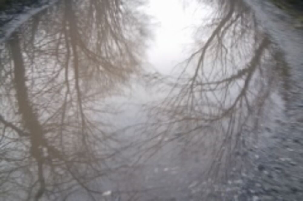 Put Ždrebaonik-Kopito Petrovića, Danilovgrad, Foto: Pozitivna Crna Gora