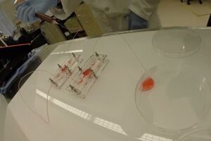 Naučnici napravili "digitalne organe"