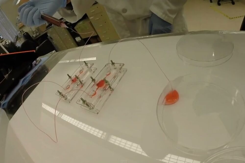 digitalni organi, Foto: Screenshot (YouTube)