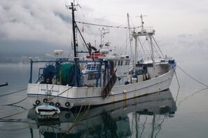 Čišćenje mora od alata i ribarskih mreža