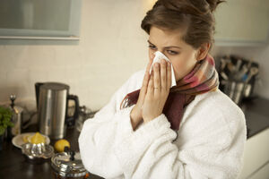 Sezona virusa gripa u jeku
