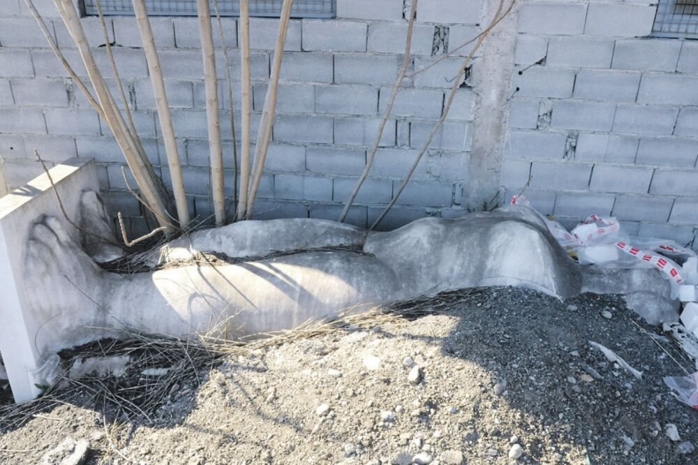 Kupačica, Foto: Luka Zeković