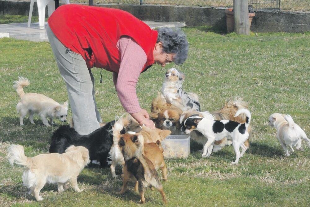 Zorka Dobrović, Foto: Vesko Belojević