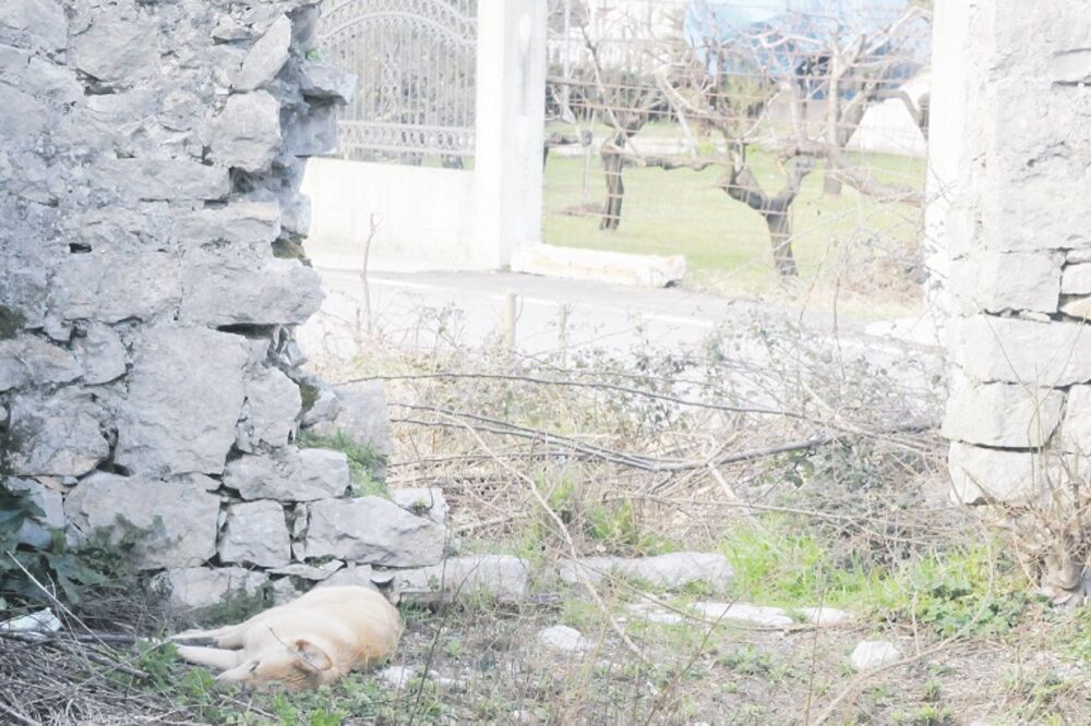 Goričani, Foto: Vesko Belojević