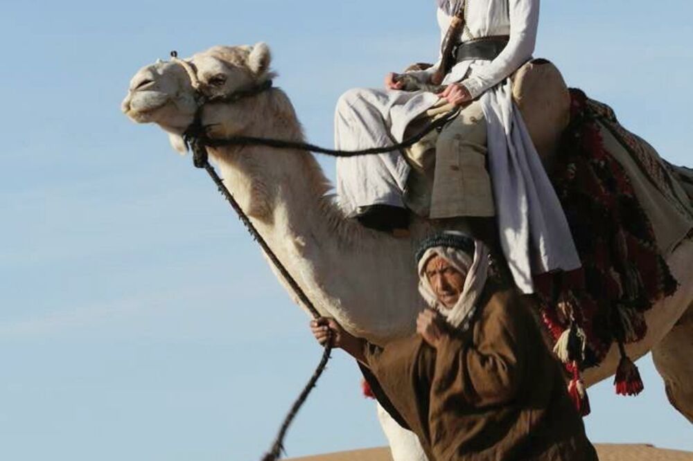 Queen of the Desert, Foto: Screenshot (YouTube)