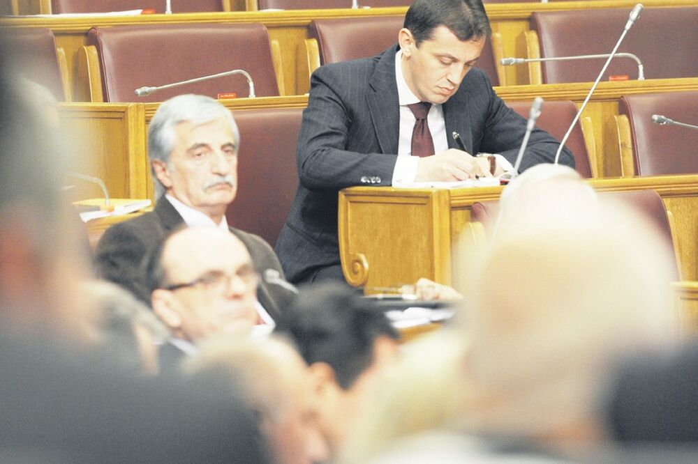 Skupština, Foto: Savo Prelević