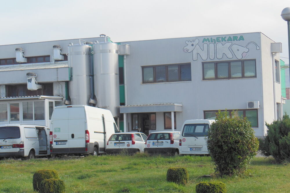 Nika, Foto: Svetlana Mandić