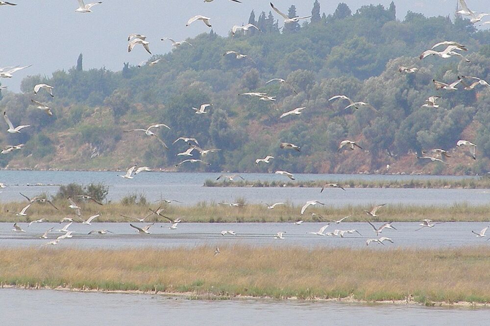 Solila, Foto: Arhiva "Vijesti"