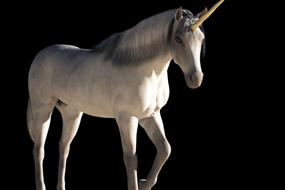 jednorog, Foto: Shutterstock