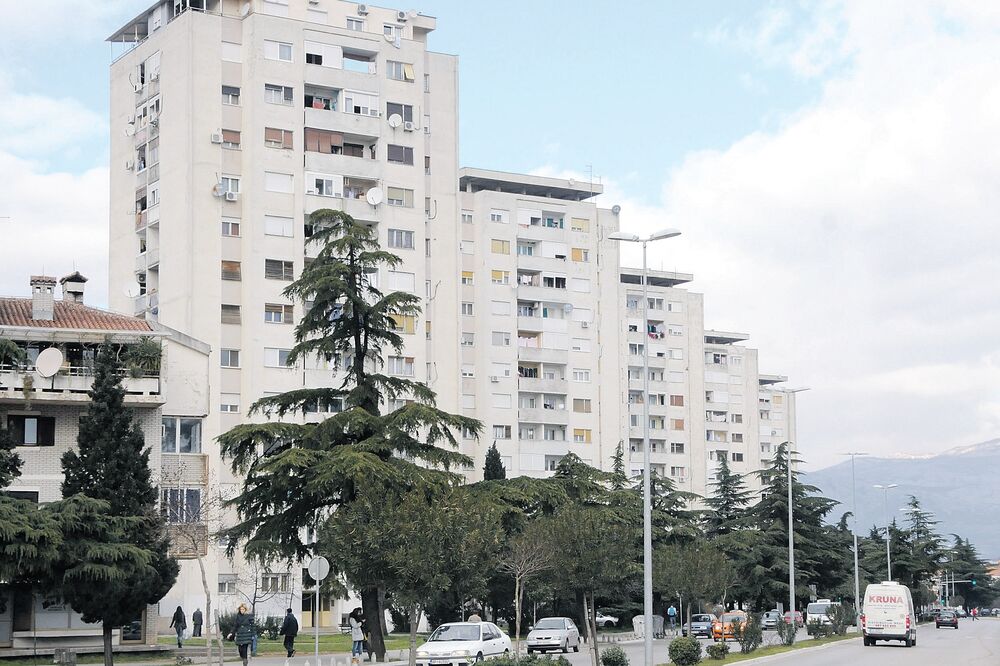 pet udovica, Foto: Arhiva Vijesti