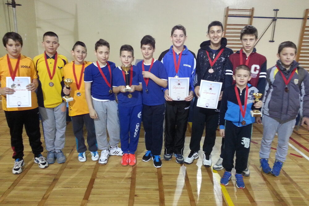 stoni tenis, Foto: STSCG