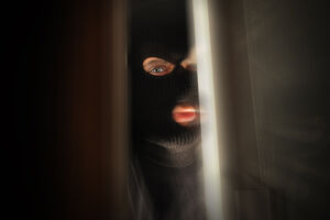 Optuženi da su tukli starce, pa im uzeli 100.000 eura i nakit