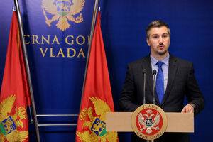 Pejović: Predviđeno da bude donijeto 167 strategijskih dokumenata...