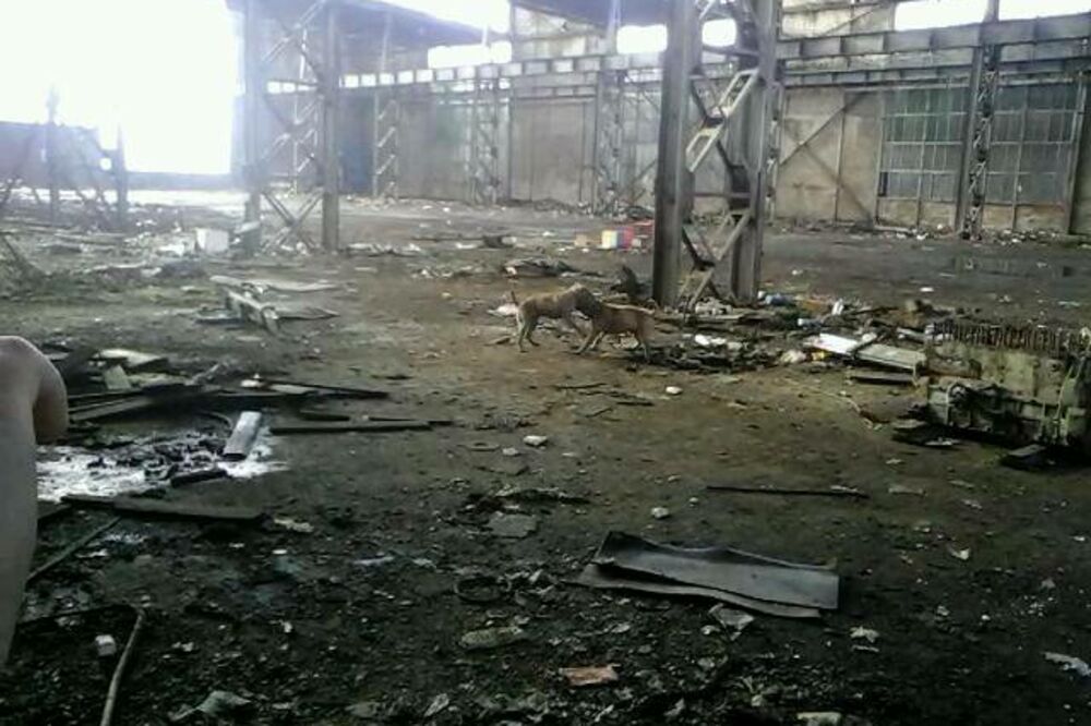 psi, Radoje Dakić, Foto: Čitalac "Vijesti"