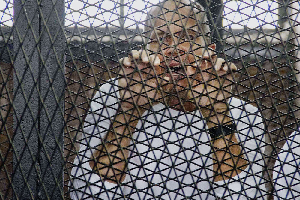 Piter Greste, Foto: Beta-AP