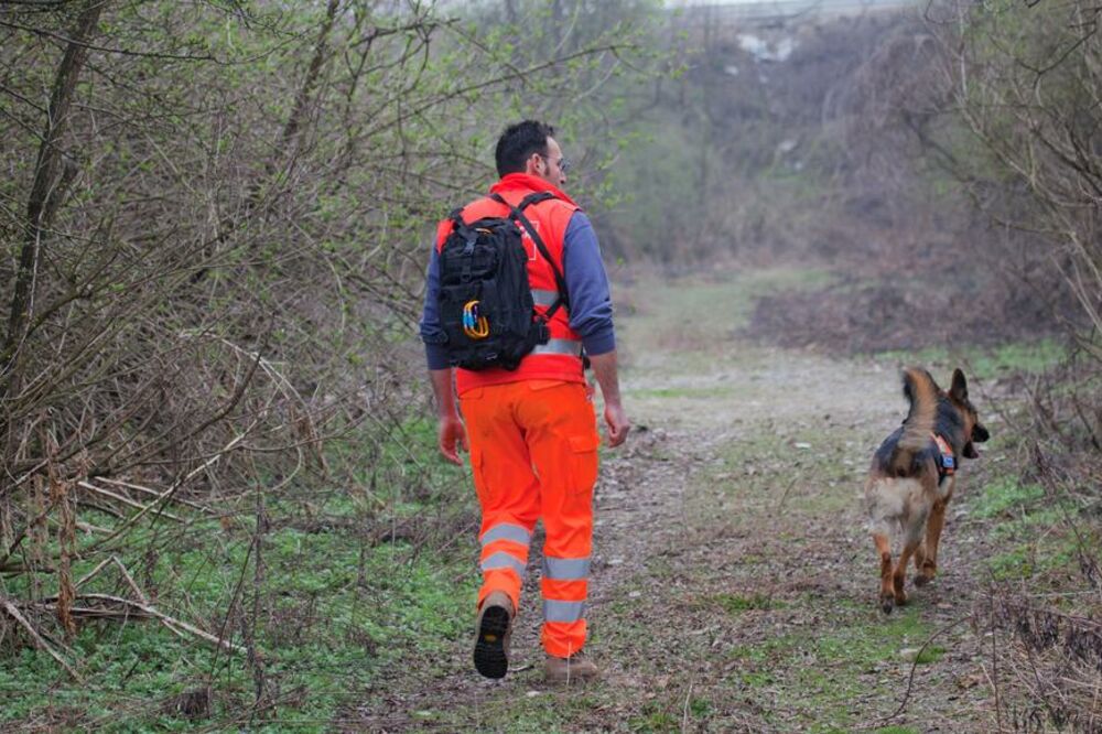 potraga, nestala osoba, Foto: Shutterstock.com