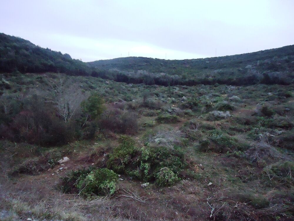 Krtola blokada gradnje postrojenja