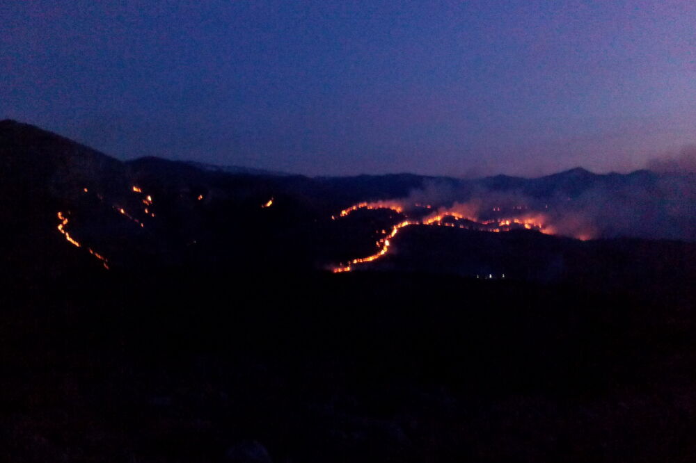 požar na Bioču, Foto: Čitalac reporter