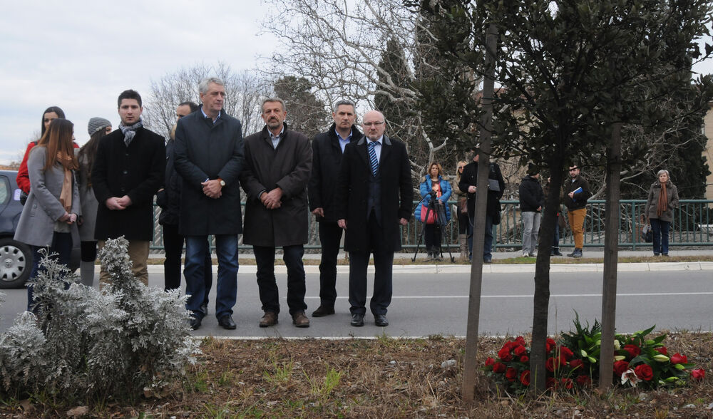 Polaganje cvijeća - Srđan Aleksić