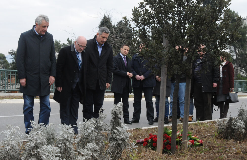 Polaganje cvijeća - Srđan Aleksić