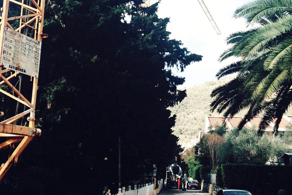 Kran, Foto: Vuk Lajović