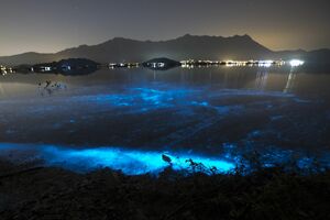 Spektakularan prizor: Plava obala Hong Konga