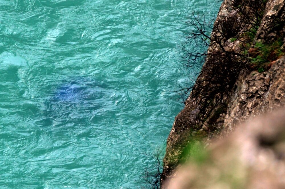 udes, Platije, Foto: Vesko Belojević