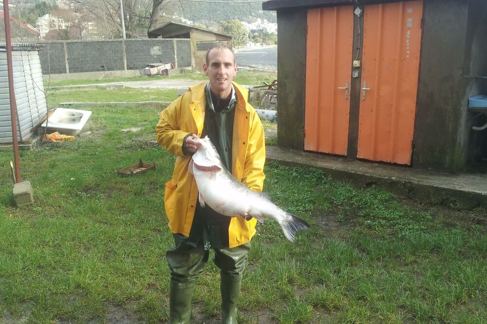 Vladimir Rašo brancin, Foto: Slavica Kosić