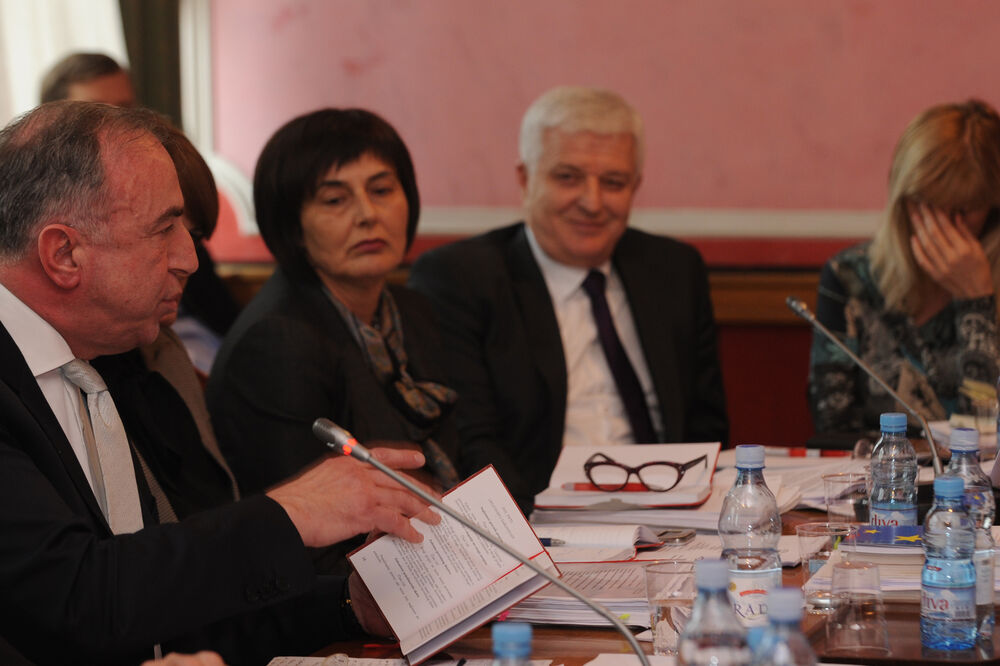 Odbor za politički sistem, Foto: Savo Prelević