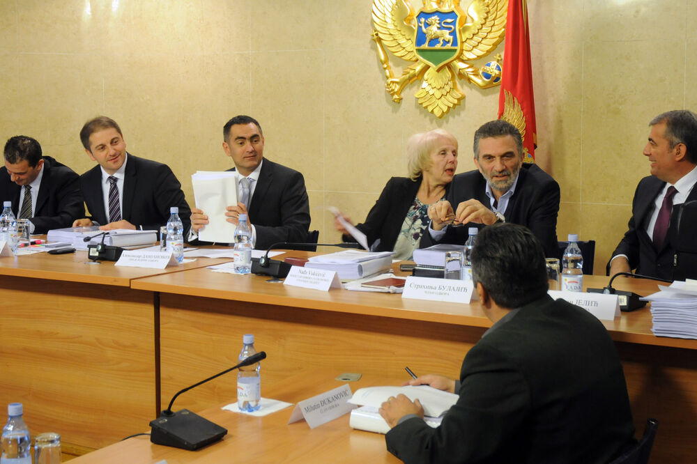 Odbor za ekonomiju, Foto: Luka Zeković