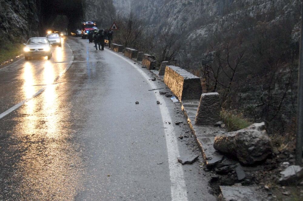 Udes Platije, Foto: Zoran Đurić