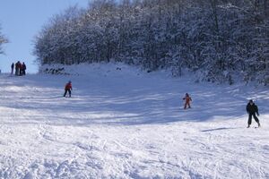 Ski centri Lokve i Vučje i dalje ne rade