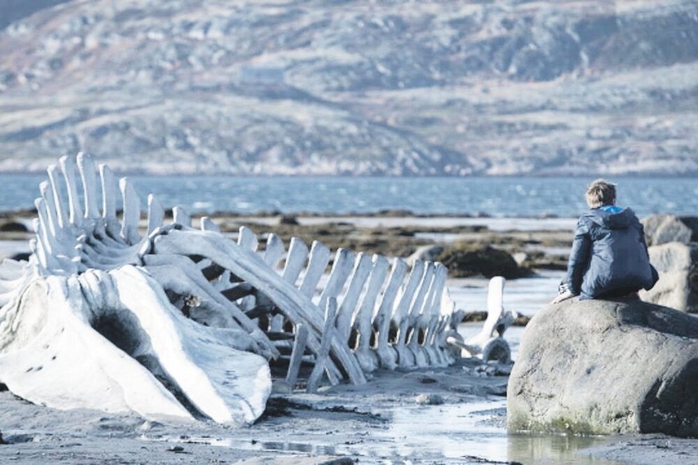 Levijatan, Foto: Screenshot (YouTube)