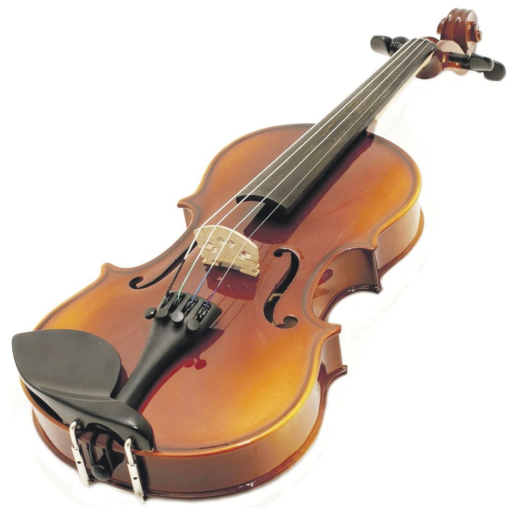 Violina (Novina)
