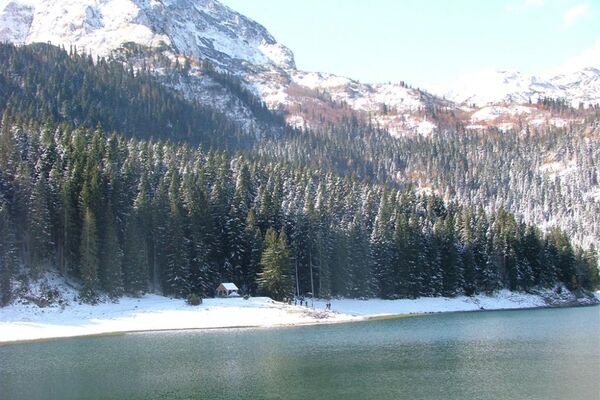 U ime oca i sina i institucija sistema