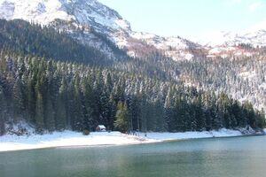 U ime oca i sina i institucija sistema