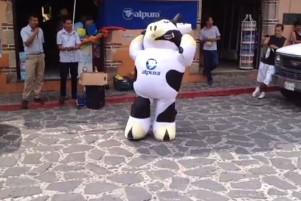 maskota iz mljekare, Foto: Screenshot (vimeo)