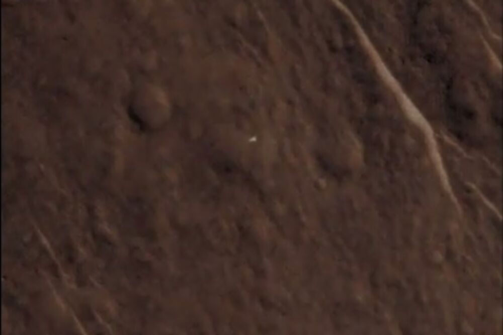 Bigl, Foto: Screenshot (YouTube)