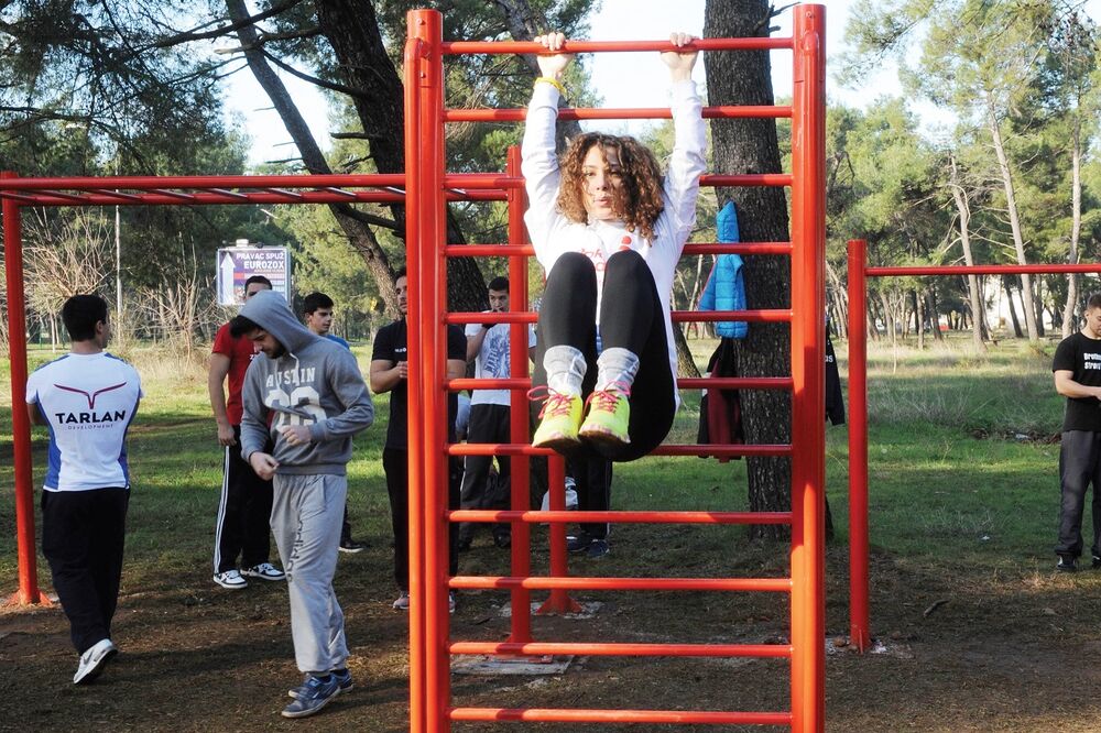 Tološka šuma, sprave, Foto: Savo Prelević