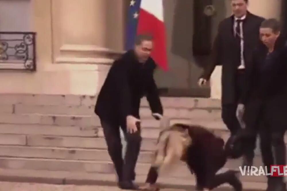 Hele Torning-Šmit, Foto: Screenshot (YouTube)