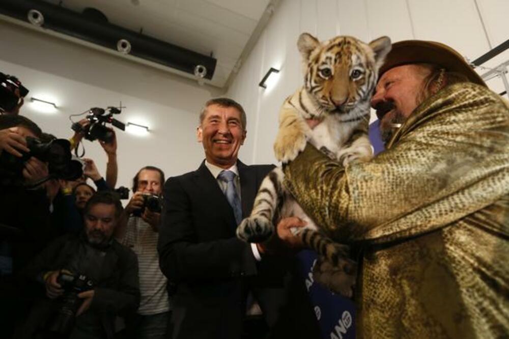 Andrej Babiš, Foto: Beta/AP