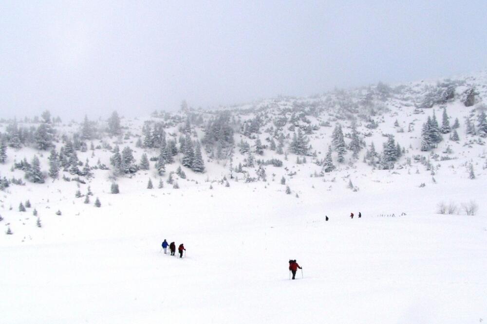 Hajla, Foto: Jelena Jovanović