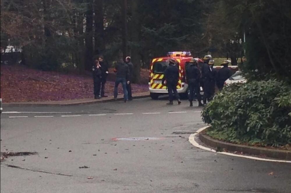 Diznilend uzbuna, Foto: Twitter.com